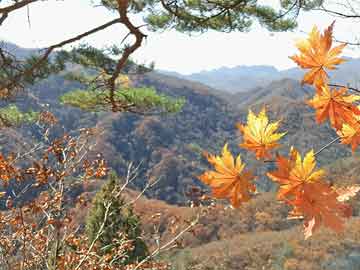 胎動(dòng)每天不一樣(有時(shí)候多有時(shí)候少)